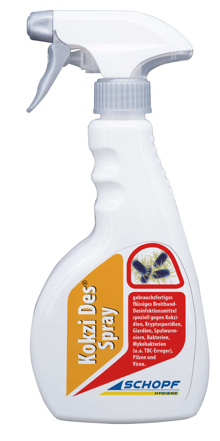 SCHOPF HYGIENE Kokzi Des Spray